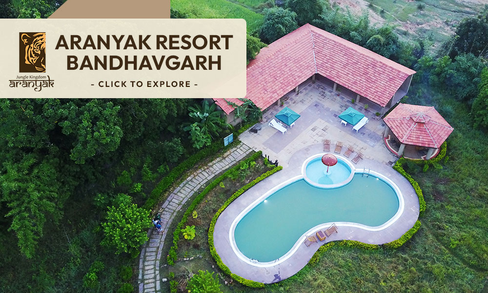 Aranyak Resort Bandhavgarh