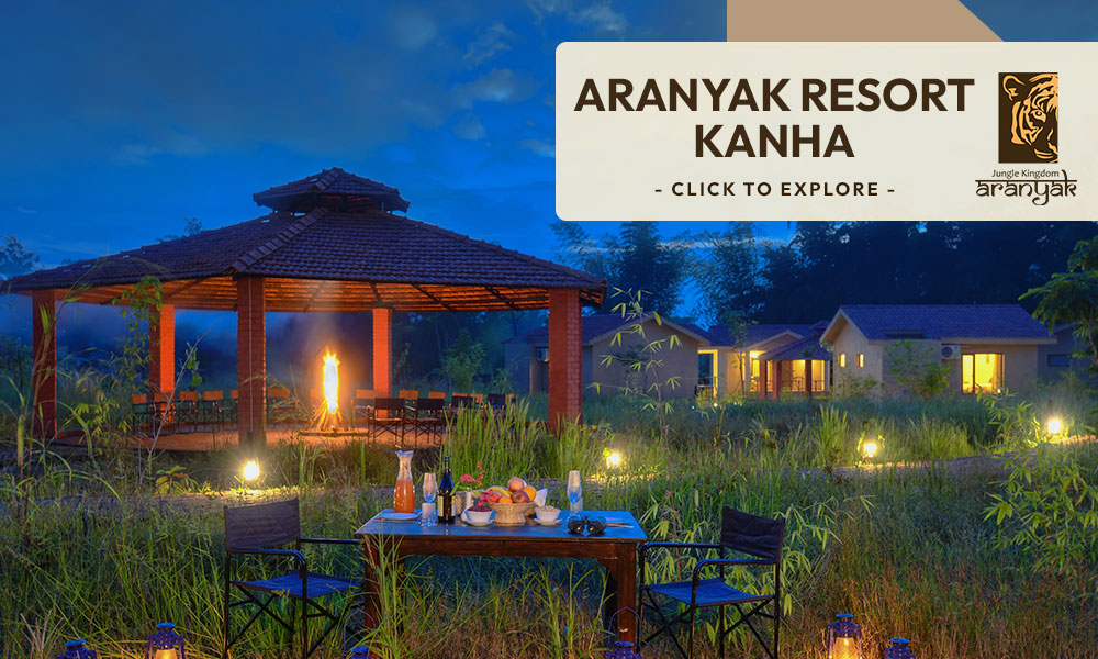 Aranyak Resort Kanha