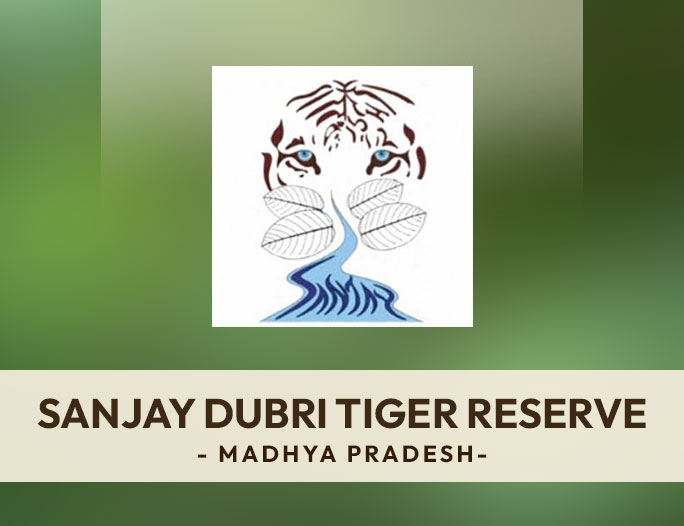 Sanjay Dubri Tiger Reserve